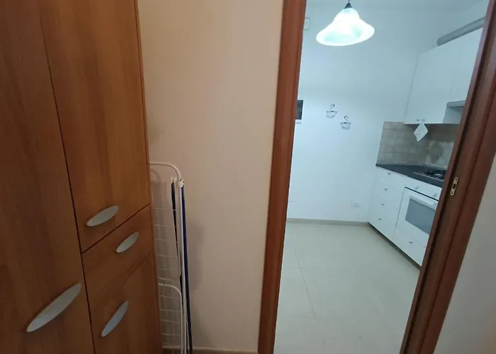 Blu Marine רימיני